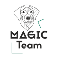 MAGIC TEAM