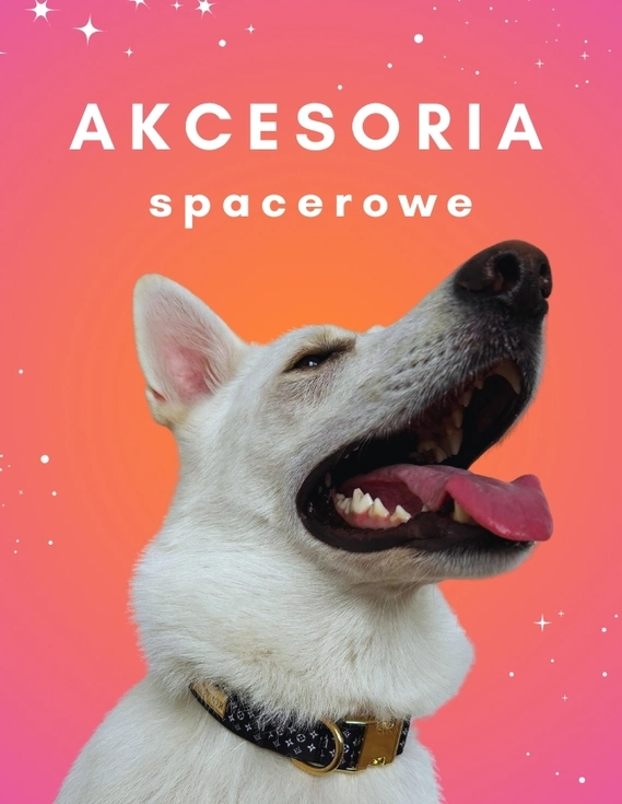 https://www.wooliewhillie.pl/Akcesoria-spacerowe-c75